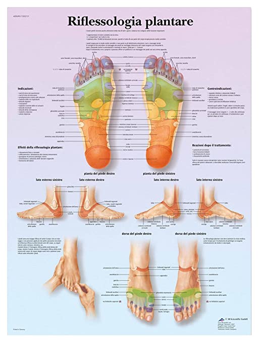 Riflessologia plantare Ladispoli OlisticaMente · Foto 11