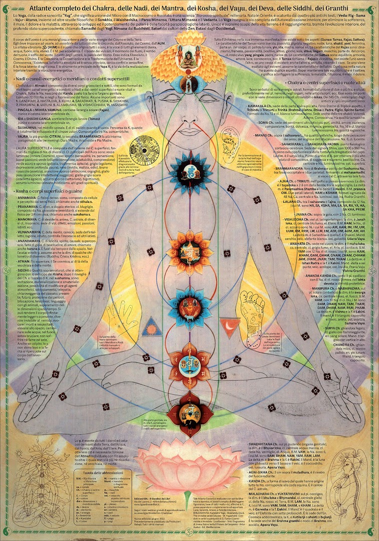 Riflessologia plantare Ladispoli OlisticaMente · Foto 7